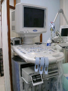 162989753_235.jpg