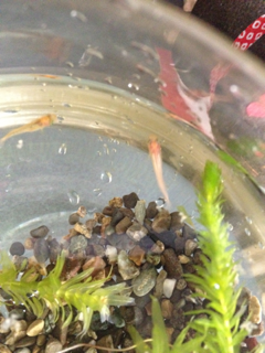 image-20121101125005.png