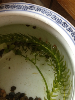 image-20121101125025.png