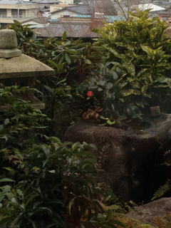 image-20130226183024.png