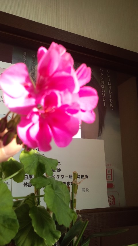 101108_1529~01.jpg